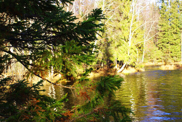 Beautiful view of lake in coniferous forest and rocky shore, wildlife, scenery.