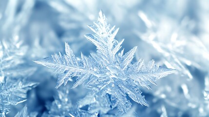 Poster - Sharp and Detailed Ice Snowflake on Snow with Subtle Blue Hues : Generative AI
