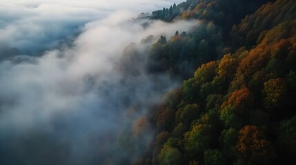 Poster - Aerial View of Misty Forest with Vibrant Autumn Foliage Draped in Clouds : Generative AI
