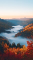 Poster - Scenic Misty Autumn Valley with Vibrant Foliage Under Clear Sunrise Skies : Generative AI