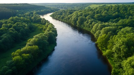 Poster - Aerial View of Winding River in Verdant Forested Landscape with Clear Blue Sky : Generative AI