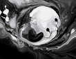 © 100ME - 白と黒の対比のみで構成された、極めてシンプルな形やパターンで、陰陽のバランスを表現する背景イメージ