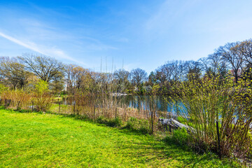 Wall Mural - Tranquil lakeside landscape with vibrant greenery, budding shrubs, and clear blue sky on bright spring day. New York. USA. 