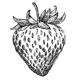 Rysunek truskawka