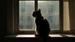 © Tiles - Silhouette of a cat on a blank, softly shaded window sill. Wallpaper