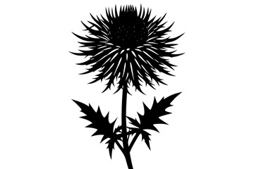 Canvas Print - Thistle flowers black silhouette