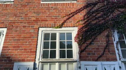 Wall Mural - Historical house in the Dutch Quarter in Potsdam, Germany