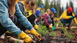 © evgenia_lo - volunteers planting trees in a burnt forest area, helping with the reforestation process after a wildfire