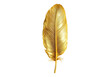 © Saiqa - Photo of golden feather .Transparent background. Isolated PNG.