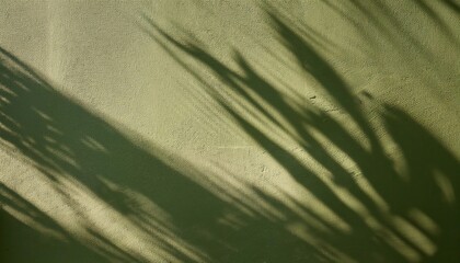 Poster - Sunlit Palm Shadows on Textured Olive Green Wall. Subtle Tropical Background, Ideal for Nature Inspired Designs, Zen Decor, Mood Boards, or Minimalistic Social Media Posts