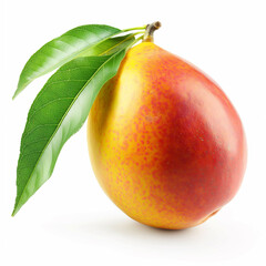 Wall Mural - mango isolated on white background