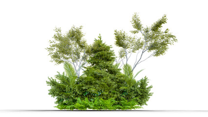 Poster - Tree and plant group PNG transparent with shadow catcher, 3d illustration rendering