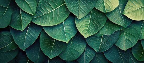 Fototapete - Pattern shaped like a leaf Part X. with copy space image. Place for adding text or design