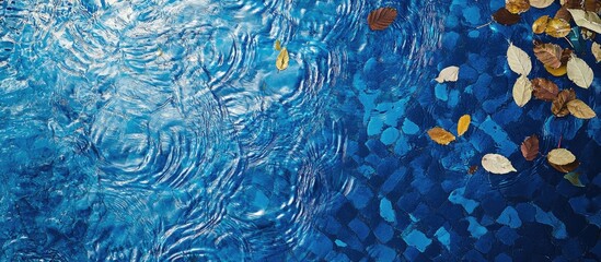 Poster - Top view of a blue swimming pool surface with reflections on the blue water swirl pattern texture and blue tiles Leaves in the murky water swimming pool is open Background backdrop with copyspace