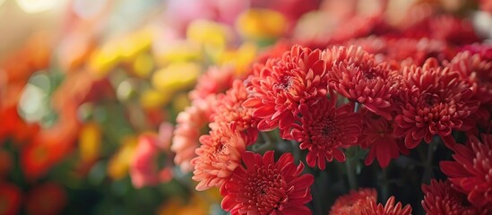 Leinwandbilder - Red Chrysanthemums bouquet in flower shop as background. with copy space image. Place for adding text or design