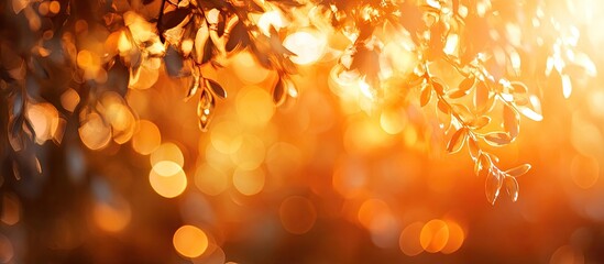 Aufkleber - Orange bokeh background from natural settings beneath tree shade. with copy space image. Place for adding text or design