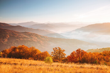 Leinwandbilder - The bright morning sun shines over the mountains and the valley with fresh fog. Carpathian mountains, Ukraine, Europe.
