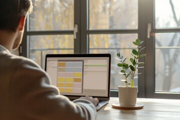 Poster - A person is working intently on a laptop next to a bright window, with a small plant, symbolizing the blend of technology and nature in workspaces.