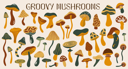 Wall Mural - set of various mushrooms in retro cartoon groovy 70s hippie funky style. different types of fungi ve