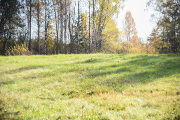 empty countryside landscape in autumn with fields and meadows and rare trees in background, late autumn in agriculture