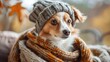 © Vatcharachai - Dog wearing knitted hat and scarf in autumn setting. Cozy and seasonal concept for pets.