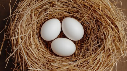 Aufkleber - Three white chicken eggs resting in a delicate nest of straw grass with subtle natural lighting creating a warm and inviting countryside feel