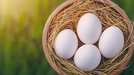 Aufkleber - Rustic farm life scene featuring white eggs nestled in a straw nest with soft shadows and warm lighting highlighting the natural simplicity and tranquility of the countryside