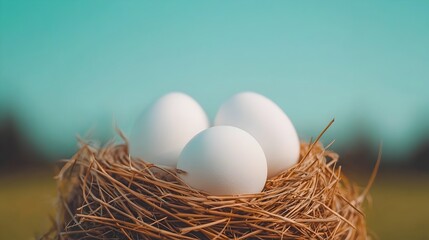 Aufkleber - Soft Natural Light Highlighting White Eggs Nestled in a Straw Grass Backdrop Creating a Calm and Rustic Farmhouse Scene Perfect for Photography