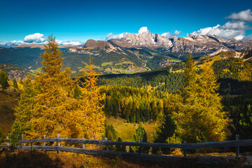 Wall Mural - Colorful larches on the slope at autumn, Dolomites, Italy