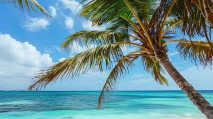 Poster - A stunning view of the pristine beaches and turquoise waters of the Caribbean with palm trees swaying gently in the breeze under a bright, sunny sky, tropical setting with vibrant blues and greens