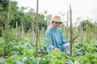 © Odua Images - A woman is in a beautiful garden, diligently harvesting fresh vegetables beneath a cloudy sky