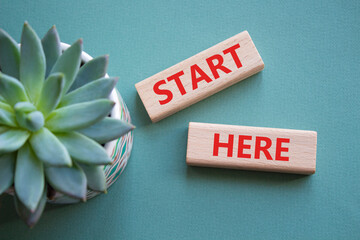 Start here symbol. Wooden blocks with words Start here Beautiful grey green background with succulent plant. Business and Start here concept. Copy space.