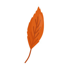 Orange autumn leaf on a white background. Vector illustration