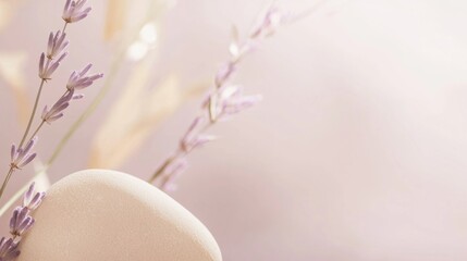 Poster - Delicate lavender sprigs gently touch a smooth, beige surface, creating a serene and minimalist composition against a soft, blurred background