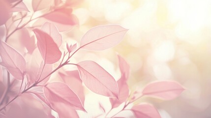 Poster - Pink leaves gently sway in soft sunlight, creating a dreamlike atmosphere with a blurred background and a gentle pastel color palette, perfect for backgrounds, websites, and designs