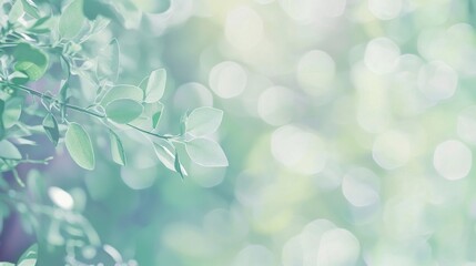 Poster - Sunlight filters through green leaves, creating a dreamy bokeh effect perfect for nature-inspired designs. Ideal for design projects, it adds organic beauty to any backdrop