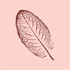 Decorative leaf prints of with detail and texture. Monotone pink botanical plant impression print.