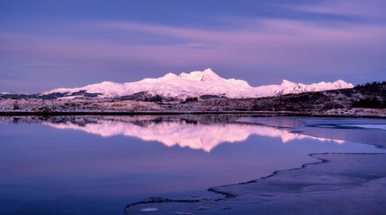 Wall Mural - snowy mountains, sea bay, reflection in water at sunset in winter
