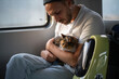 © DimaBerlin - Man traveling on train with beloved cat sitting calmly on lap. Male pet owner enjoys peaceful electric train journey with fluffy cat. Comfortable trip with feline companion in public transportation