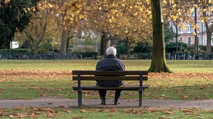 Poster - An elderly person sitting alone on a park bench symbolizing social isolation among the elderly, Reflecting the loneliness and neglect faced by senior citizens, minimalistic style