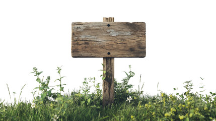 Leinwandbilder - Wooden directional sign in nature isolated png