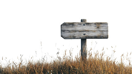 Leinwandbilder - Wooden directional sign in nature isolated png