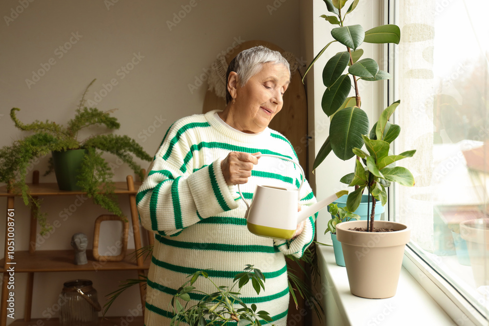 Senior gardener watering plant on windowsill at home