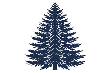 Evergreen pine tree isolated on white background