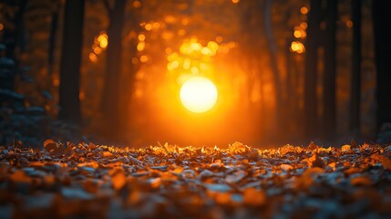 Aufkleber - sunrise shining through autumn trees, with Hello October written in an orange circle.image