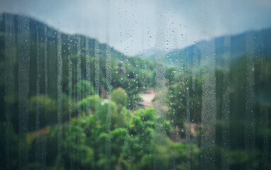 Poster - A view of a green forest through a rain-streaked window.