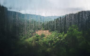 Poster - A blurry view of a lush valley covered in green foliage and a brown field, seen through a rain-streaked window.
