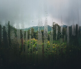 Aufkleber - A view of a green landscape through a rain-streaked window.