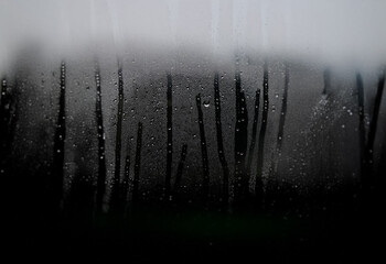 Poster - A blurry, dark image of condensation on a window pane.