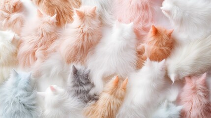 Wall Mural - 25. Soft, fluffy kitten fur in various pastel colors spread out on a white background